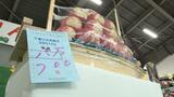 『宝船』は最高値の15万円！「文字絵リンゴ」の競り55種類・179点が上場　リンゴにくっきり縁起物|TBS NEWS DIG