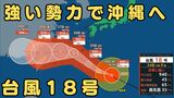 台風18号は「強い勢力」で沖縄地方に接近へ 猛烈な風で一部の住宅が倒壊するおそれも 警報級の大雨、高潮にも十分注意|TBS NEWS DIG