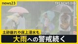 梅雨空戻った日本列島 各地でゲリラ豪雨…奈良公園のシカも“雨宿り” 台風2号→熱帯低気圧に変わる見込みも大雨に要警戒 7月~9月の“気温は高い”予報【news23】|TBS NEWS DIG