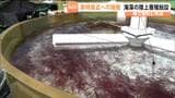 県内初となる海藻の陸上養殖施設がお披露目　タオヤギソウなどを年間8トン生産へ　宮城・南三陸町|TBS NEWS DIG