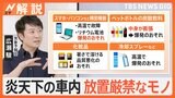 「外がレンジの中みたい」“体温超え”危険な暑さ…スマホなど車内放置は厳禁 ETCカードの“挿しっぱなし”にも注意【Nスタ解説】|TBS NEWS DIG