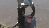 親子で楽しむ泥んこ遊び 新型コロナ規制解除で4年ぶりに 愛知・岡崎市 体験型野外施設「わんパーク」のどろんこプール | 名古屋・愛知・岐阜・三重のニュース【CBC news】 | CBC web