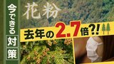 花粉の飛散量去年の270%?! 「毛の長い服は避けて」基本的な対策を専門家に聞いた | 福岡のニュース|RKB NEWS|RKB毎日放送
