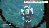 早くも気分はクリスマス　大水槽で“サンタダイバー”がエサのプレゼント＝静岡・下田海中水族館|TBS NEWS DIG