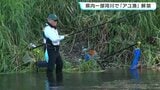 高知6河川で「アユ漁」解禁、川には朝から釣り人の姿 新荘川では「鵜に追われ群れで固まり⋯」釣果芳しくないが「上流に移動したら釣れた!」 | 高知のニュース・天気|KUTV NEWS | KUTVテレビ高知