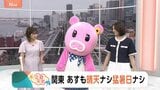 【8月5日 関東の天気】関東 あすも晴天ナシ猛暑日ナシ|TBS NEWS DIG
