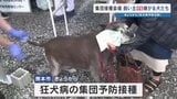 注射なんて嫌だワン！　狂犬病の予防接種　4～6月は強化月間　熊本市　人への感染・発症でほぼ死亡　|TBS NEWS DIG