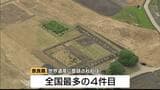 「こんなに感動するとは」祝賀ムードの地元・奈良…パブリックビューイング会場は歓喜！世界文化遺産への登録決定『飛鳥・藤原の宮都』|TBS NEWS DIG