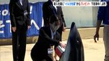 水族館で入社式"イルカ先輩"から新入社員へのプレゼントは・・・＝静岡・下田市|TBS NEWS DIG