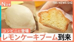 「レモンケーキ」ブームが到来、専門店が東京出店…コンビニ、定番のお菓子、アイスにも登場【Nスタ】| TBS CROSS DIG with Bloomberg