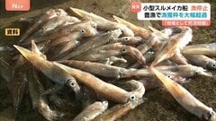 「収入なくなっちゃった」豊漁なのに漁出られず…スルメイカ漁の再開は？ 増枠提案も…漁業者落胆| TBS CROSS DIG with Bloomberg