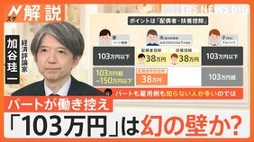 103万円は“幻の壁”か? 年収1万円増で負担500円、専門家「配偶者特別控除を知らない人が多いのでは」【Nスタ解説】|TBS NEWS DIG