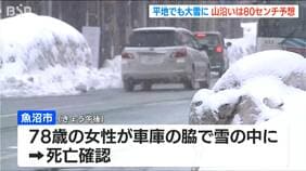 スコップを持った状態で雪の中に…新潟県魚沼市で78歳の女性が死亡　除雪作業中に落雪か|TBS NEWS DIG