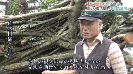 戦禍を逃れた男性が2年隠れ続けたガジュマル『伊江島のニーバンガズィ