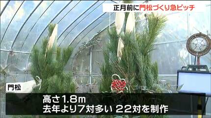 高さは1.8メートル 地元産「アカマツ」や「モウソウチク」用いた門松