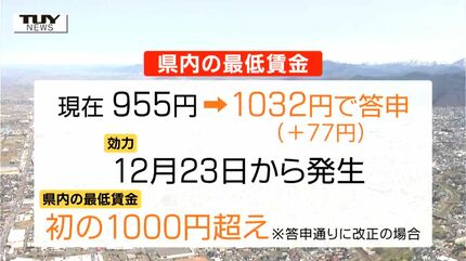 ❼金運UP イワヒバ １５首長最上株物 超多幹１５ ３０年以上物 激安 Other :: Yahoo!Auction｜DEJAPAN - Simple & Easy Japanese
