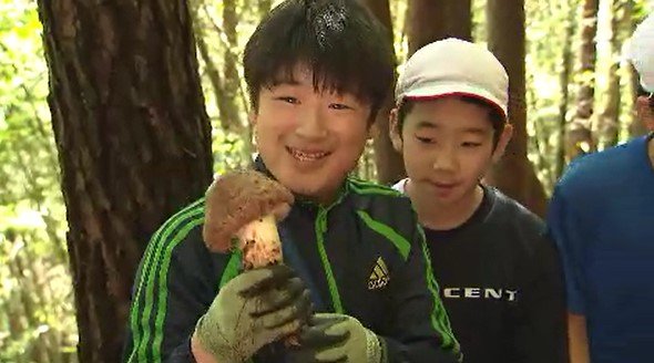 今年は豊作で「めっちゃマツタケ！」信州・上田市で小学生が「マツタケ狩り」採ったマツタケは31.5キロ！ここ10年で最も多い量…10月下旬にマツタケご飯にして味わう　|　SBC NEWS | 長野のニュース | SBC信越放送