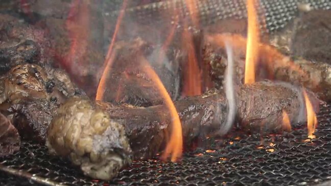 「秋の大収穫祭」をテーマに242店 ひろしまフードフェスティバル 広島城遊覧船も運航|TBS NEWS DIG