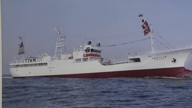 遠洋マグロ漁を襲う原油高と不漁　ひと航海の燃料代8000万→1億5000万の見込み　県漁連会長「操業自粛ならお手上げ」と危機感　岩手|TBS NEWS DIG
