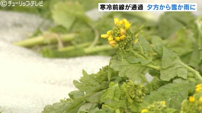富山県内夕方から雪も 日中晴れるも次第に曇り空広がる あす朝までに平野部最大5センチ|TBS NEWS DIG