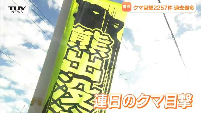 東根市では中心部で小学生がクマ発見...今年のクマ目撃件数は2200件を超える　今月はすでに去年11月の「80倍」　（山形）|TBS NEWS DIG
