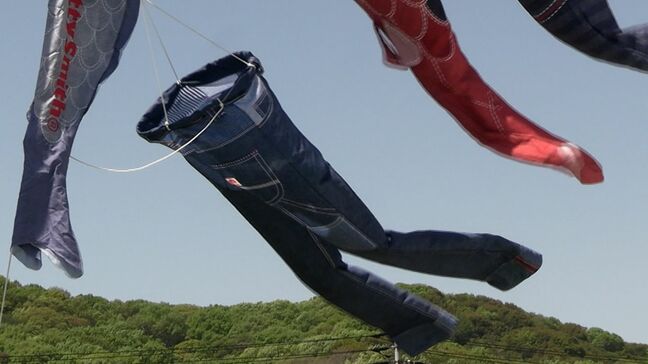 国産ジーンズ発祥の地に「デニム柄こいのぼり」今年は新型も登場 その姿はやはり…【岡山・倉敷市】|TBS NEWS DIG