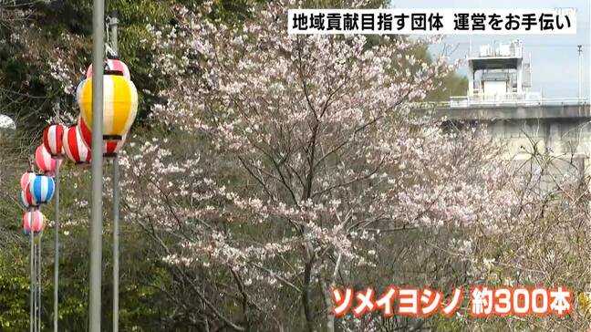 夕方以降ちょうちんによるライトアップも　高知市鏡地区で桜まつり　地域貢献目指す団体が運営をお手伝い「笑顔を一番大切に」|TBS NEWS DIG