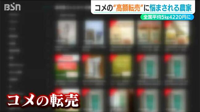 「いよいよ出てしまったか」コメ農家を悩ませる“フリマサイトでの転売” 通常より7000円高く販売されるケースも 新潟・南魚沼市|TBS NEWS DIG