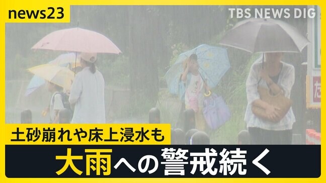 梅雨空戻った日本列島　各地でゲリラ豪雨…奈良公園のシカも“雨宿り” 台風2号→熱帯低気圧に変わる見込みも大雨に要警戒　7月～9月の“気温は高い”予報【news23】|TBS NEWS DIG