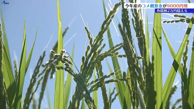 2025年産米の概算金、2024年に比べ9000円引き上げられることに　ひとめぼれは2万8000円　JAの代表者が出席する会議で決定　岩手|TBS NEWS DIG