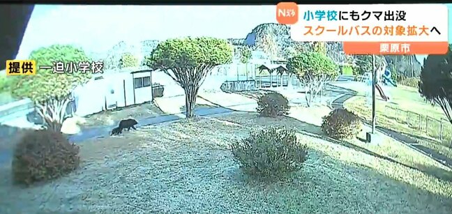 宮城県各地クマ出没で児童生徒の安全を守る対策続く「緊急事態宣言」延長・スクールバス拡大、金属バット、クマ撃退スプレー配備など|TBS NEWS DIG