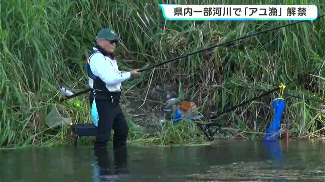 高知6河川で「アユ漁」解禁、川には朝から釣り人の姿 新荘川では「鵜に追われ群れで固まり⋯」釣果芳しくないが「上流に移動したら釣れた!」|TBS NEWS DIG