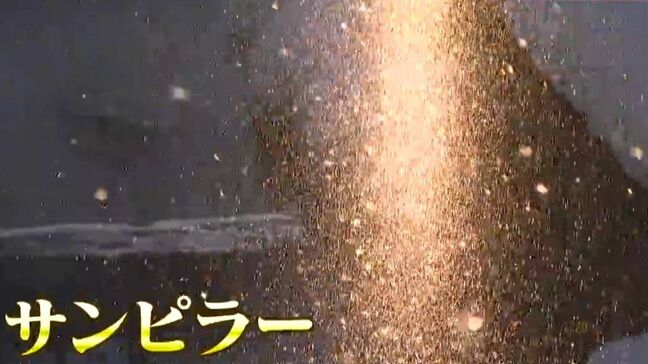 「凍み死んでまうぞこれ…」－17度　東海地方有数の極寒の地でダイヤモンドダスト　光は柱になり…岐阜県高山市六厩|TBS NEWS DIG