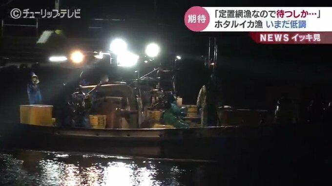 「定置網で待つしかない…」富山湾のホタルイカ漁師　例年の一日5トンに対しまだ722キロ　|　富山のニュース｜天気・防災｜チューリップテレビ