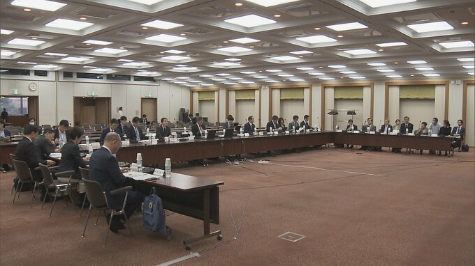ジェネリックがある先発薬　患者負担増へ　厚労省が年内に具体案とりまとめ|TBS NEWS DIG