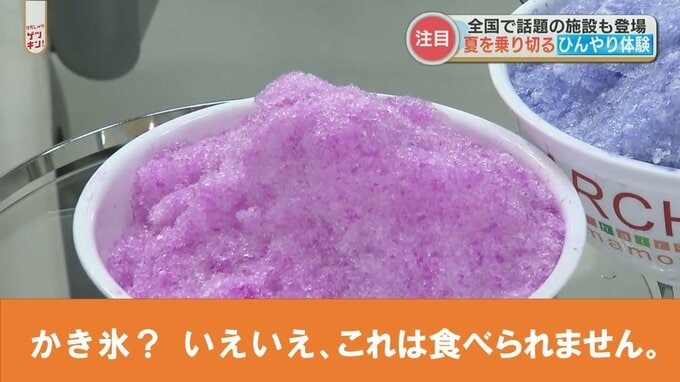 食べてひんやり　入ってひんやり　この夏オススメのひんやり体験　|　熊本のニュース｜RKK NEWS｜RKK熊本放送