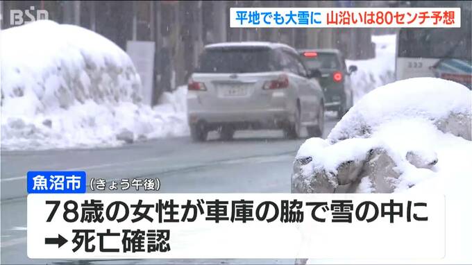 スコップを持った状態で雪の中に…新潟県魚沼市で78歳の女性が死亡　除雪作業中に落雪か|TBS NEWS DIG