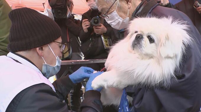 能登半島地震 今後の生活やペット無料診療に関する情報まとめ（15日現在）　|　石川県のニュース｜MRO北陸放送