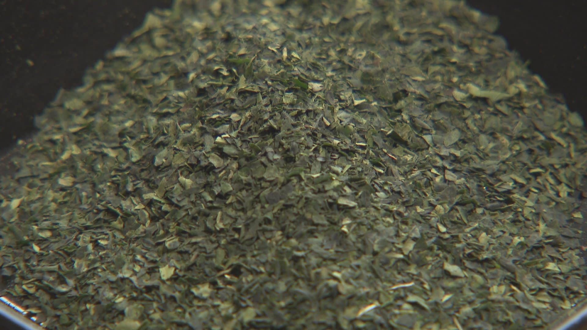 抹茶1缶3888円も？抹茶ブームで「購入制限」お茶専門店の藤岡園に聞く