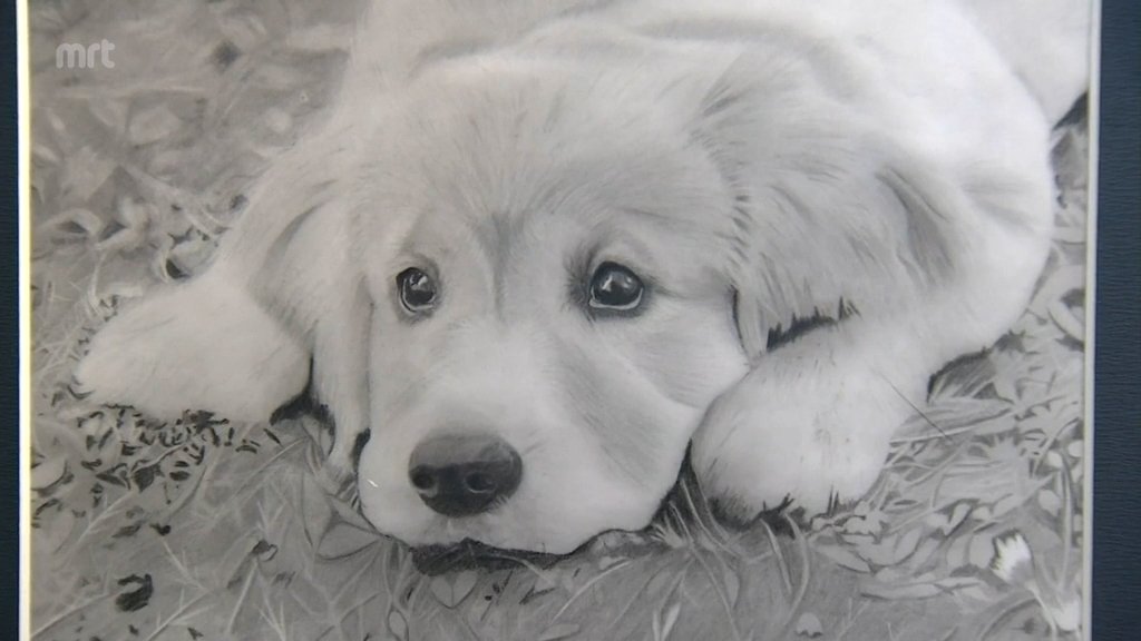 鉛筆1本で人物や風景などを繊細に描いた作品展 延岡市で21日まで | TBS