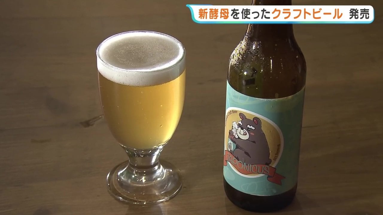 数量限定】大学が作ったビール！？ 苦味の後にフルーティーな香り 熊本