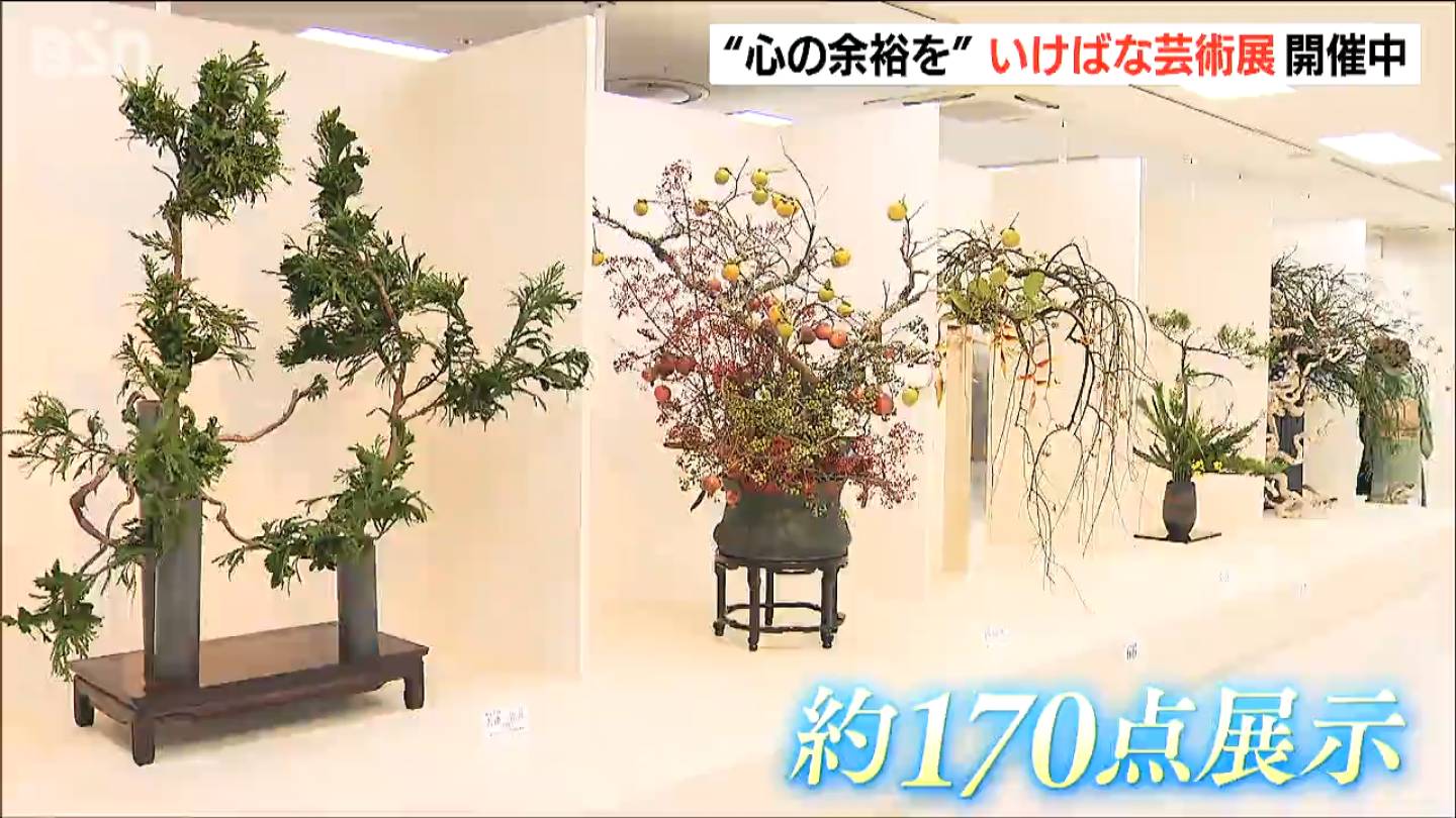 img_7c8d33350080199432c0b9ba30