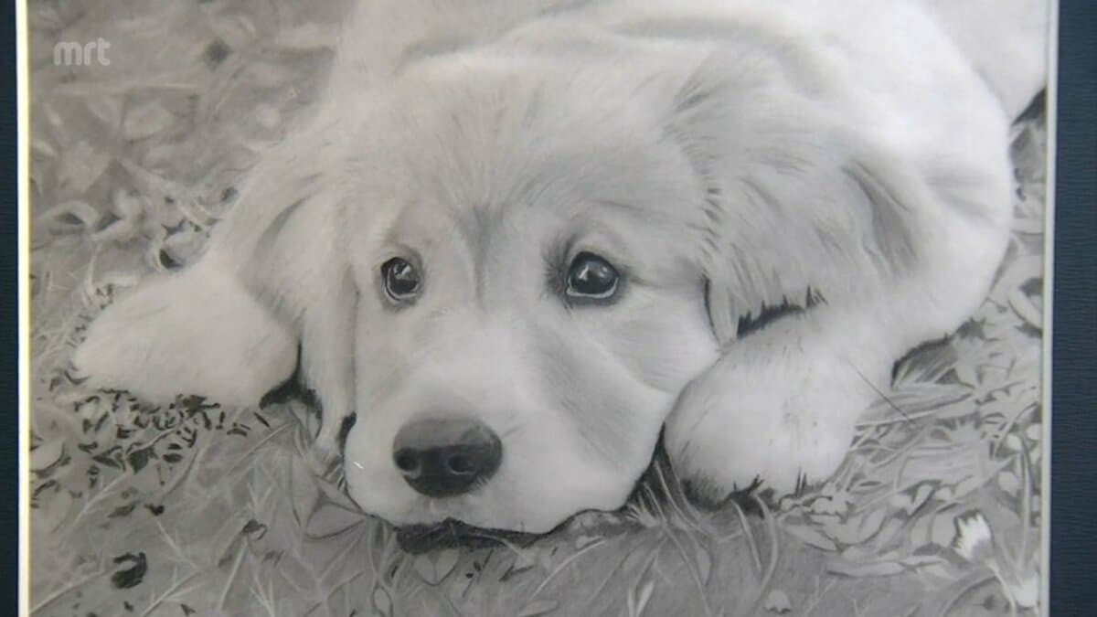 鉛筆アート「アビシニアン」真作、手描き、1点物 サイズA4 鉛筆アート