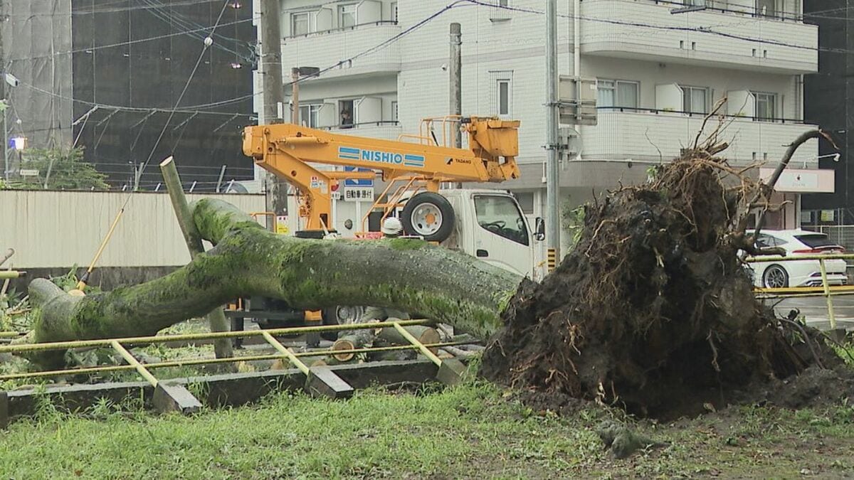 国道1号が冠水 高さ約15メートルの木が倒れる被害も 大気の状態が不