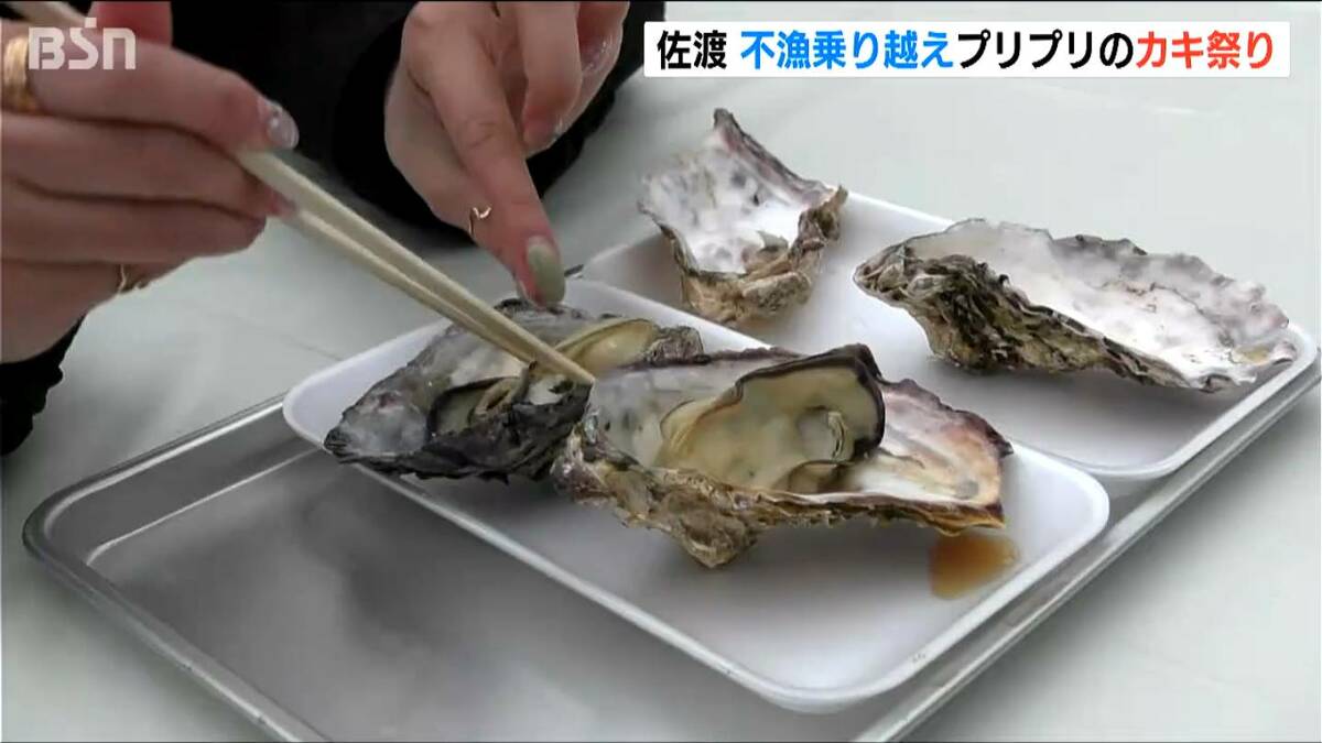 サムネイル_不漁乗り越えた佐渡のカキ　今シーズンは最高！　殻付きカキに大粒カキごはんはいかが？「佐渡牡蠣祭り」開幕　新潟・佐渡市