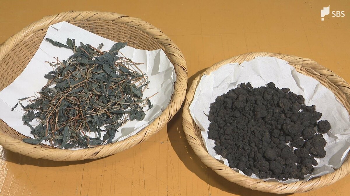 いかに青を美しく見せるかを極める」江戸時代から続く天然の「正藍染