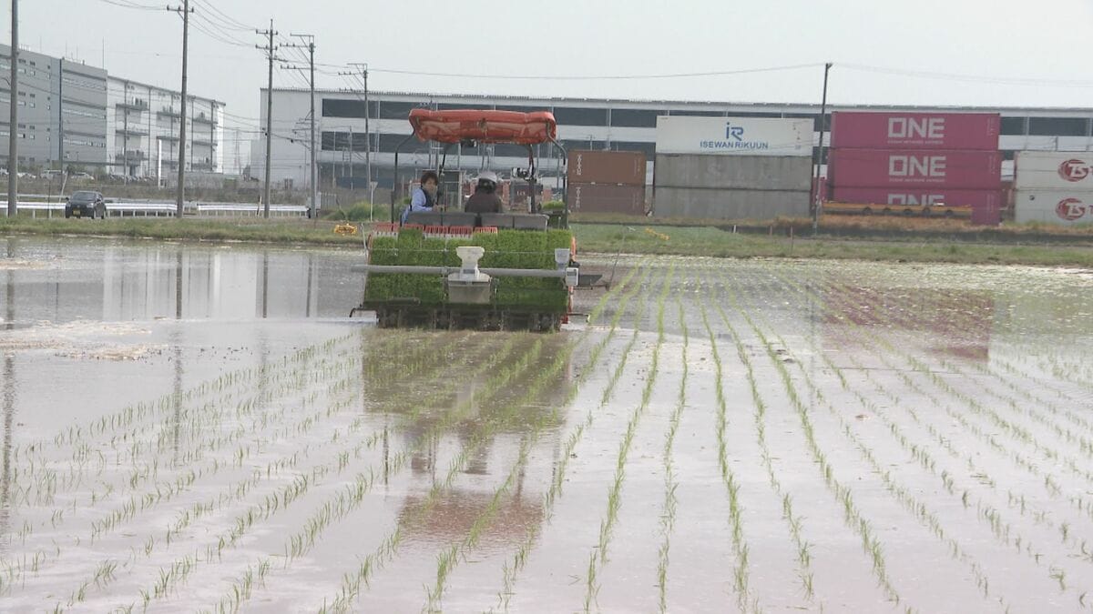 コメ農家が悲鳴 軽油に1か月66万円 ｢コメが売れても手元に残るお金が少ない｣ 農機具のゴムベルトも…｢入手できないとおしまい｣