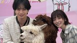 【 中島健人 】やる気が無い人への声かけは〝俺たちって何目指してるんだっけ?〟 〝本気出しすぎケンティー〟に長濱ねる呆然〝自分の力の強さを知らない人みたい…〟|TBS NEWS DIG