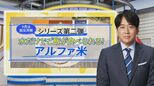 一番売れてる防災食品「アルファ米」…水だけで“ふっくらご飯”ができるのはナゼ?【THE TIME,】 |TBS NEWS DIG