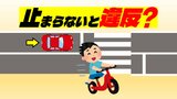車の運転中、横断歩道手前に自転車が…止まる?意外と知らない“交通ルール” 警察に確認すると…|TBS NEWS DIG